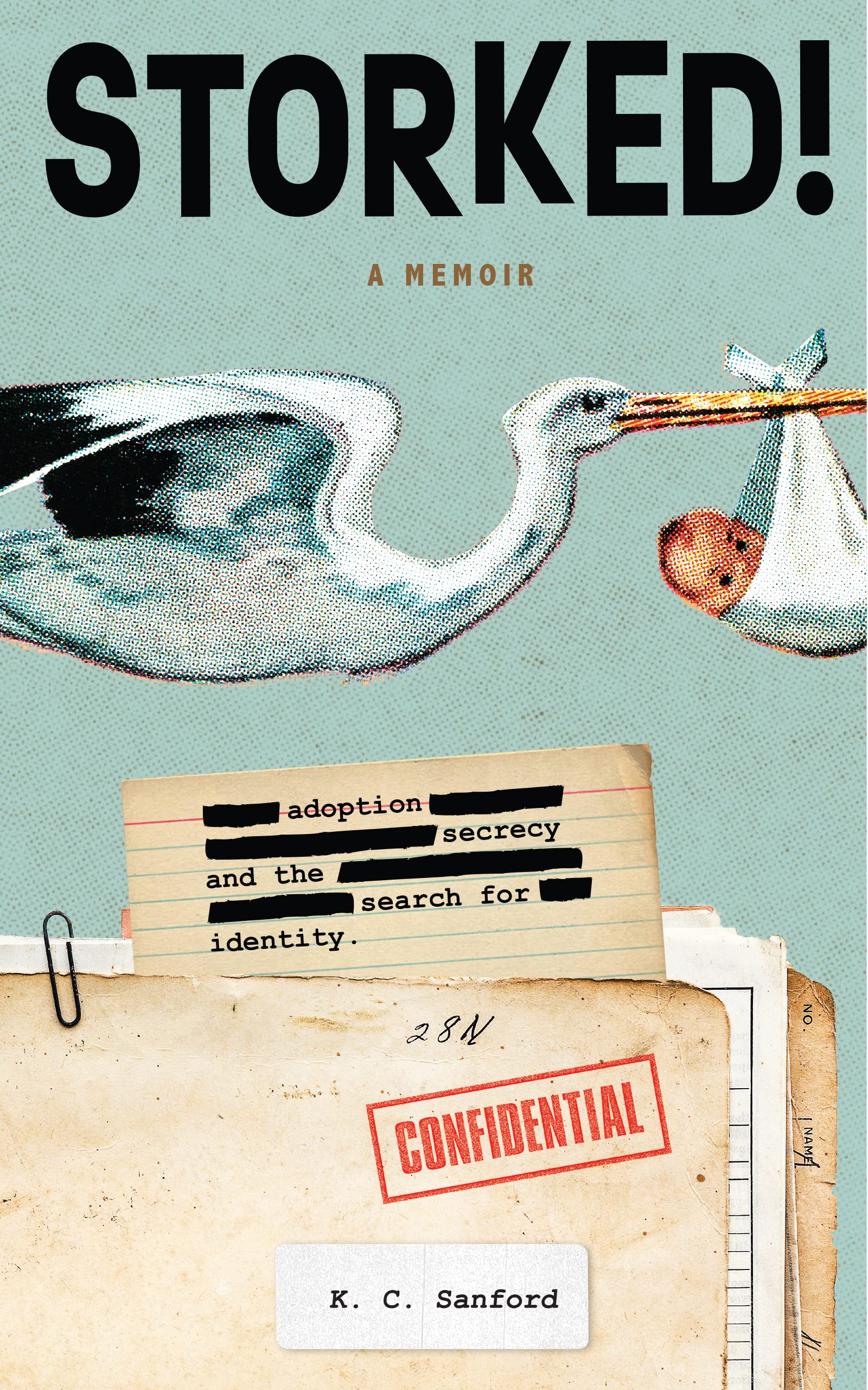 Storked!: Adoption Secrecy and the Search for Identity (Kindle Edition)