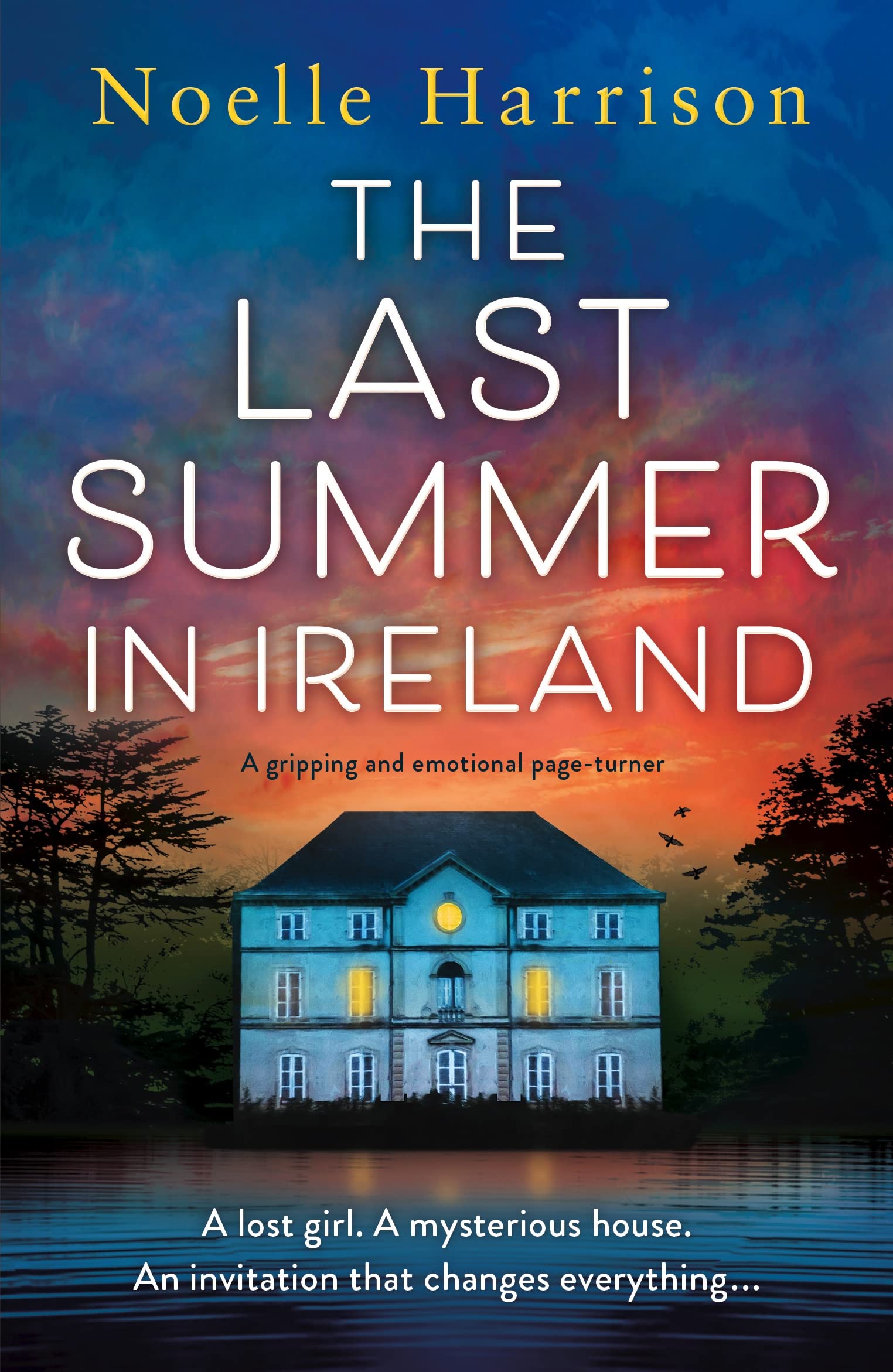 The Last Summer in Ireland (Kindle Edition)