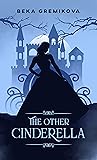 Book cover for The Other Cinderella (The Other Tales Book 1)