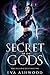 Secret of the Gods (Magic Blessed Academy, #2)