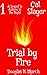 Trial by Fire (Cat Slayer B...