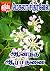 ஆனந்த ஆராதனை