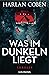 Was im Dunkeln liegt (Wilde ermittelt #2)