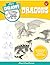 Let's Draw Dragons: Learn t...