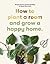 How to Plant a Room and Gro...