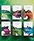Immerse Bible Complete Set (Softcover) by New Living Translation