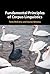 Fundamental Principles of Corpus Linguistics