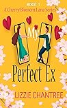 My Perfect Ex
