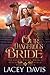 Our Dangerous Bride (Treasu...