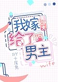 我嫁给了无cp文男主[穿书] [I Married the Male Lead of a CP-free Novel] 