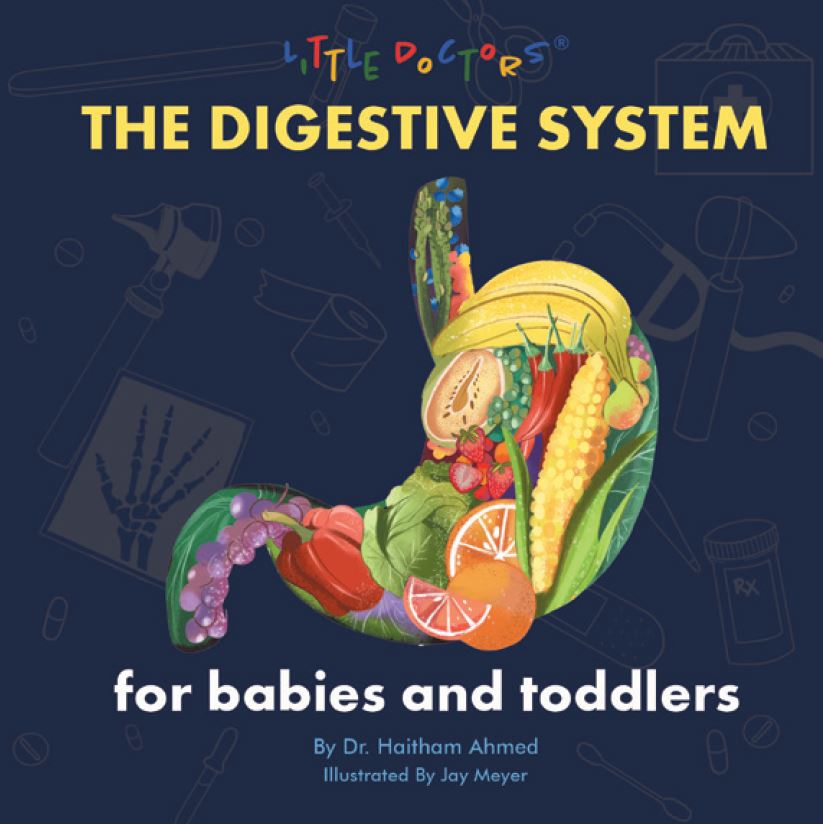 The Digestive System for Babies and Toddlers