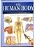 The Human Body: An Essential Guide to How the Body Works (Expert Guide)