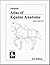 Atlas of Equine Anatomy by Chris Pasquini