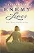 Enemy Lines (Secrets of the Blue and Gray Series Featuring Women Spies in the American Civil War)