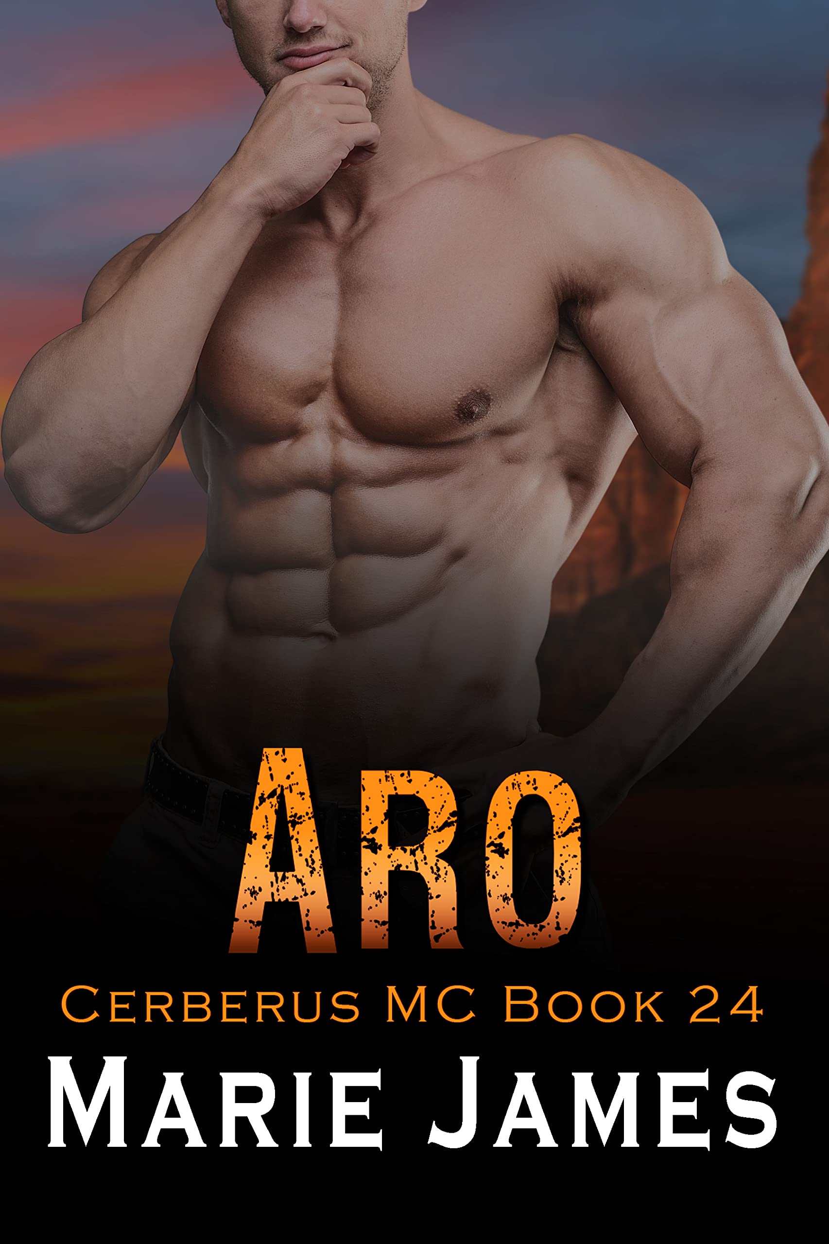 Aro (Cerberus MC Book 24)