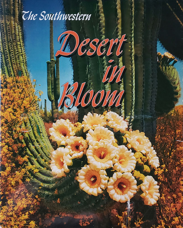 The Southwestern Desert in Bloom