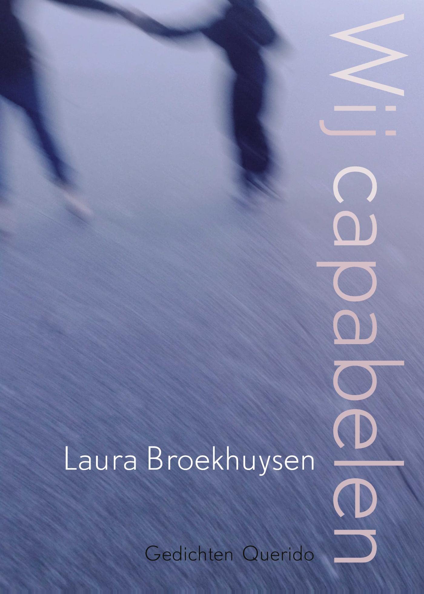 Wij capabelen (Paperback)