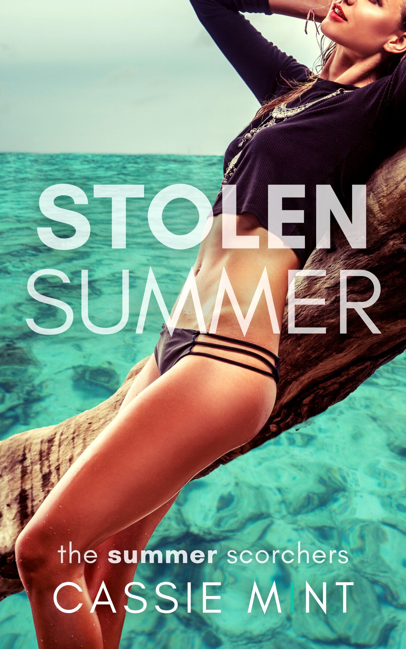 Stolen Summer (Kindle Edition)