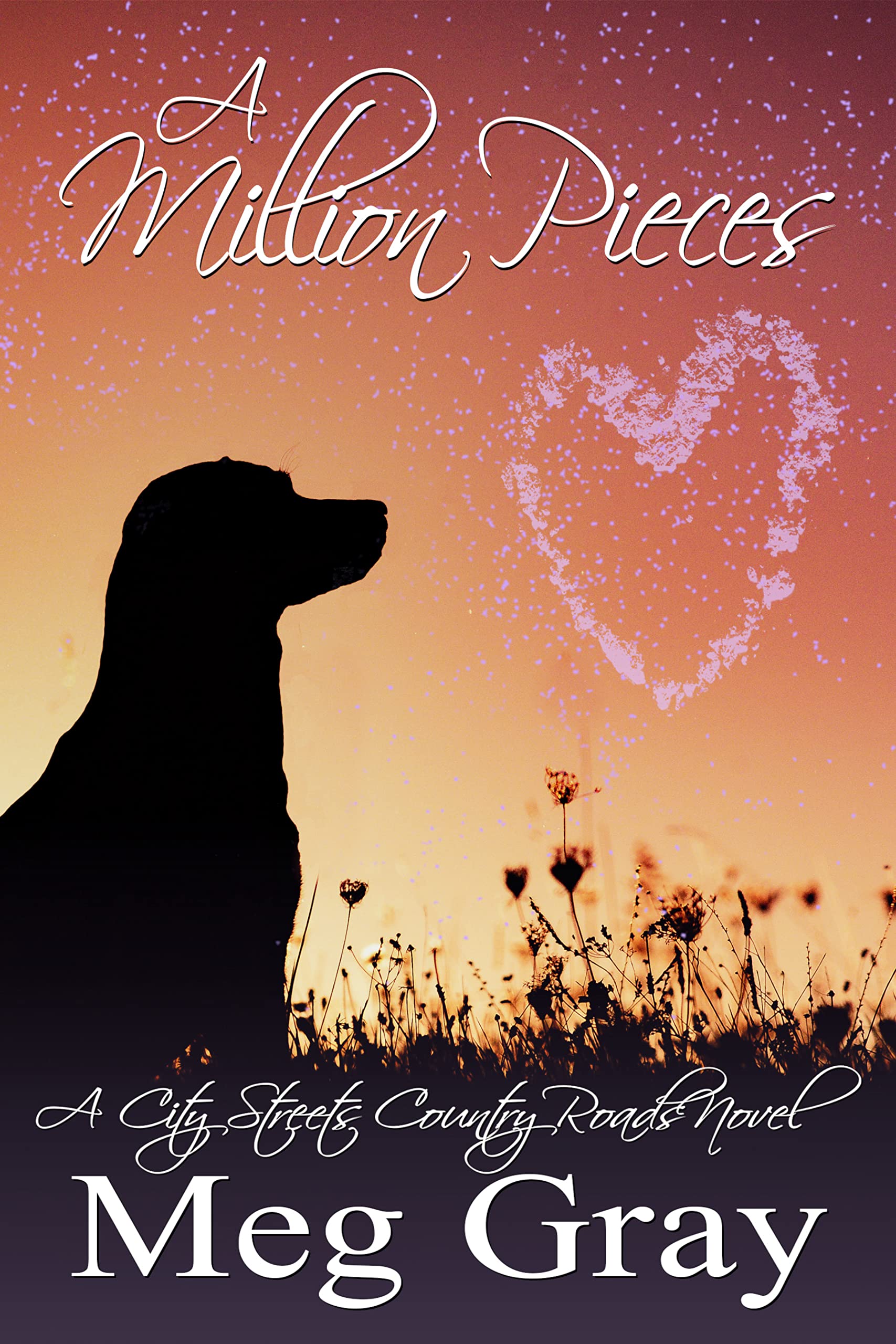 A Million Pieces (Kindle Edition)