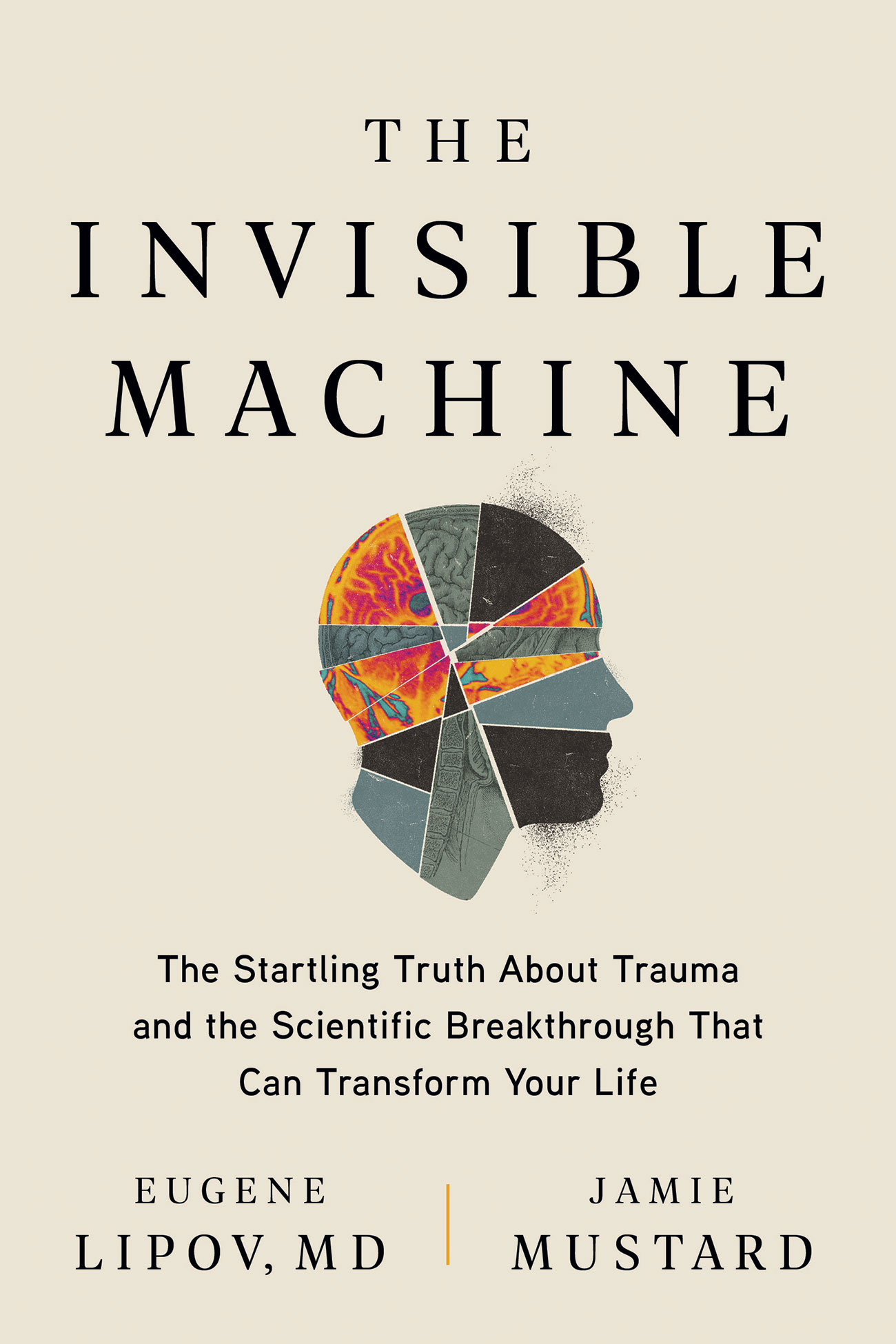 The Invisible Machine (Hardcover)