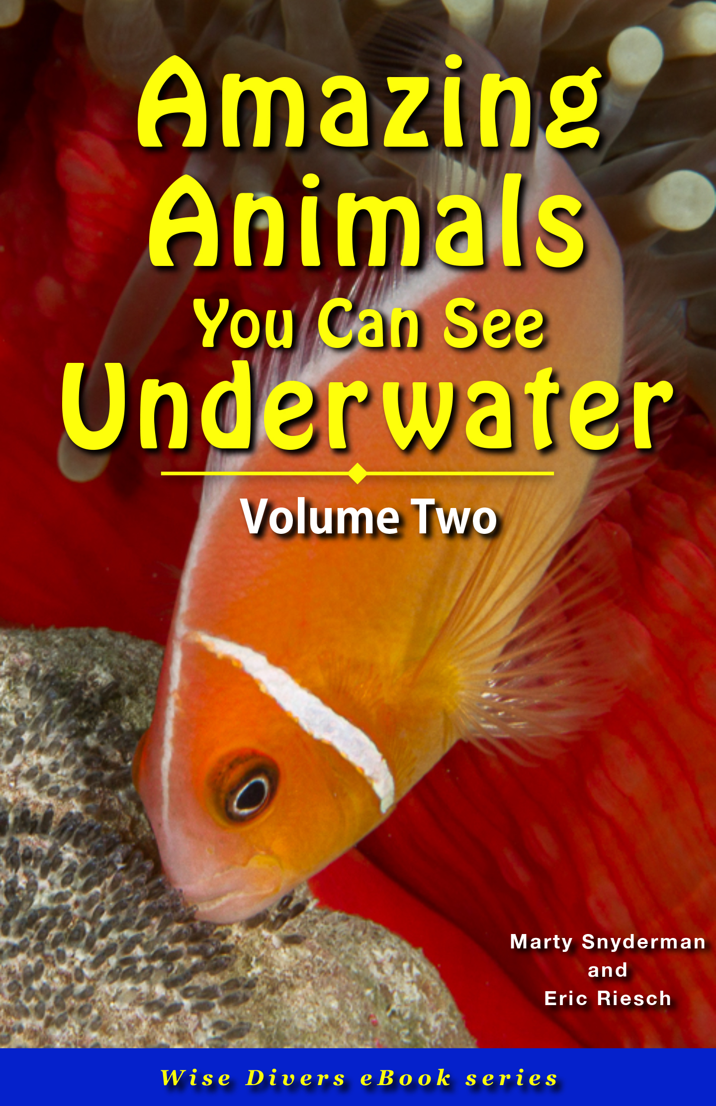 Amazing Animals You Can See Underwater - Volume Two (Wise Divers eBooks)