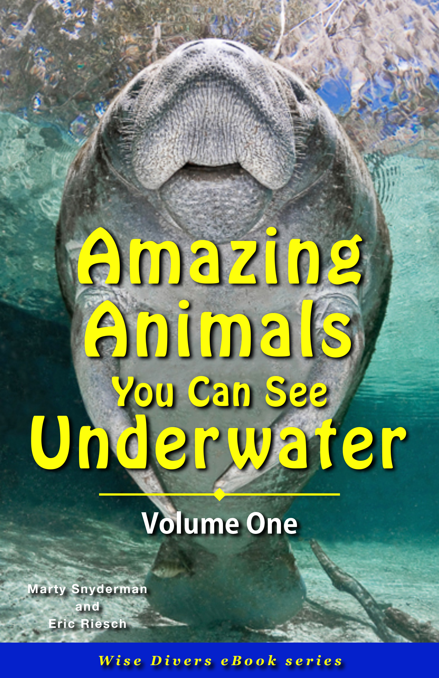 Amazing Animals You Can See Underwater - Volume One (Wise Divers eBooks)