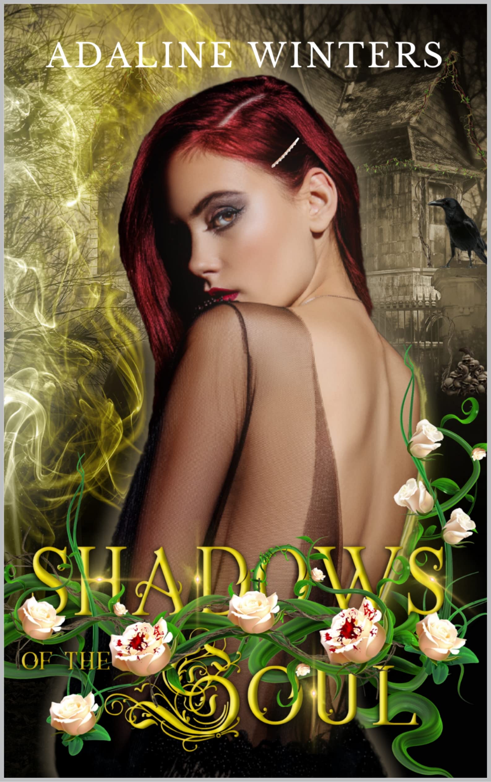 Shadows of the Soul (Cora Roberts, #2)