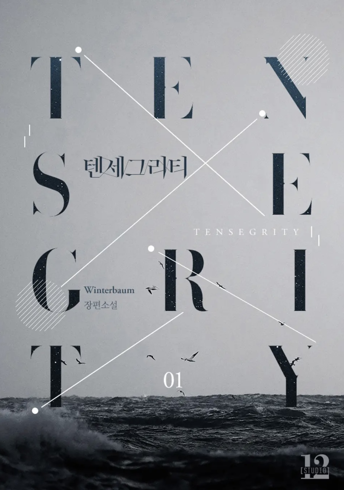 텐세그리티 (Tensegrity #1-5)