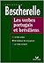 Les verbes portuguais et brésiliens
