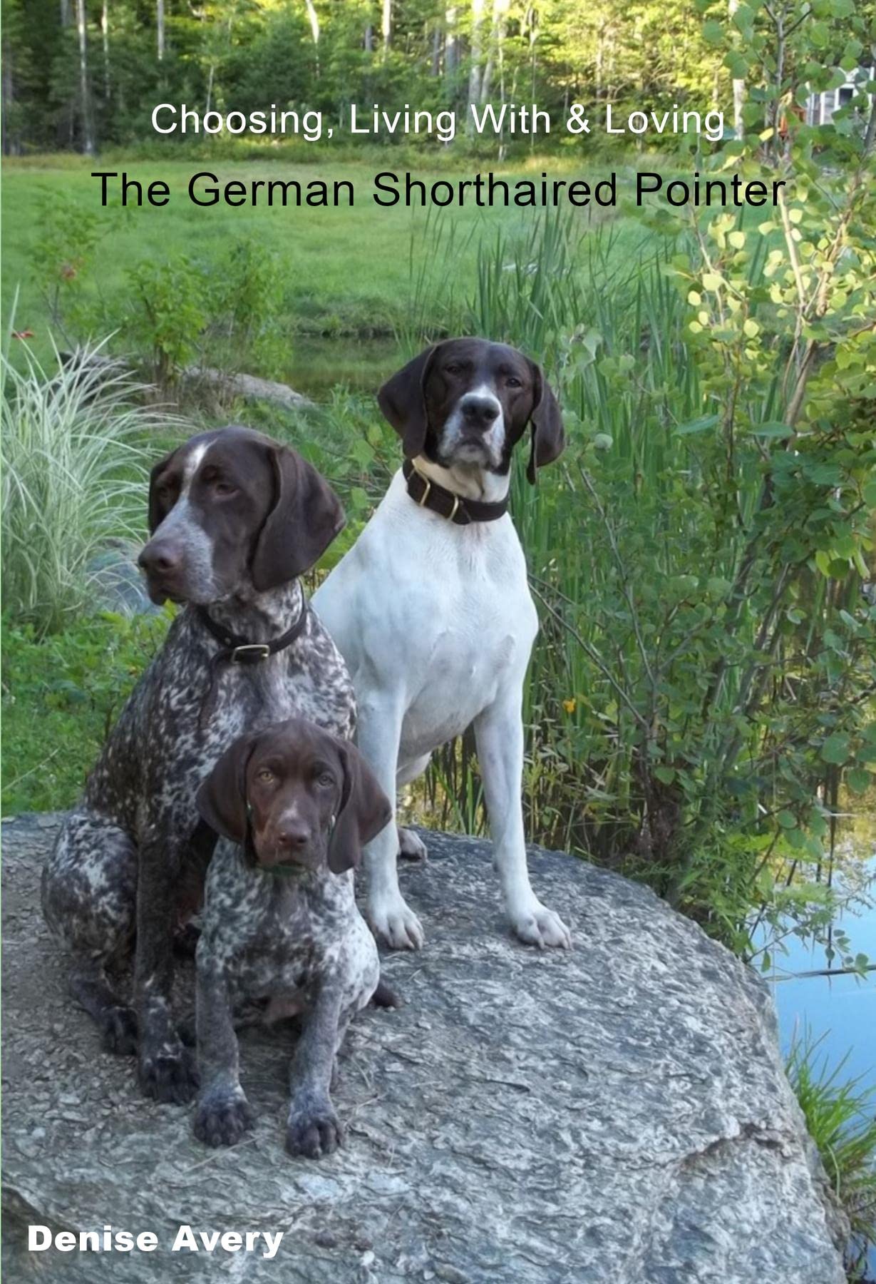 Choosing, Living With and Loving the German Shorthaired Pointer