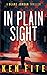 In Plain Sight by Ken Fite