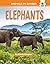 Elephants by Emily Kington