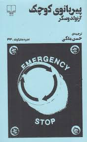 پیربانوی کوچک (Paperback)