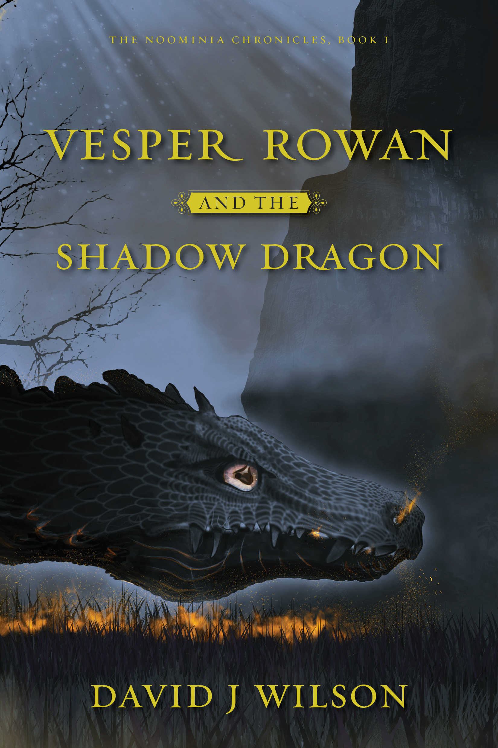 Vesper Rowan and the Shadow Dragon (Noominian Chronicles Book 1)