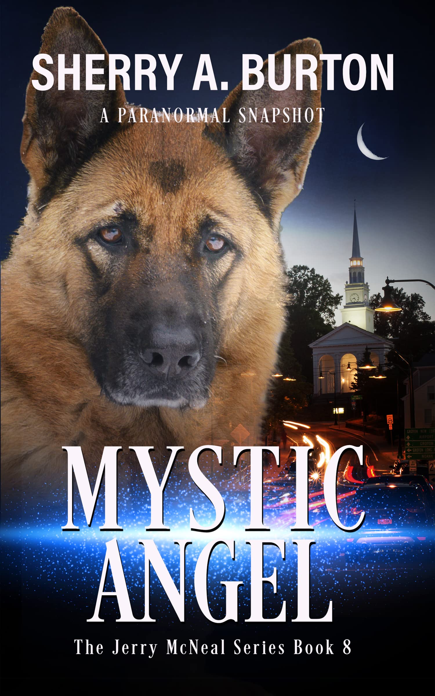 Mystic Angel (Jerry McNeal, #8)