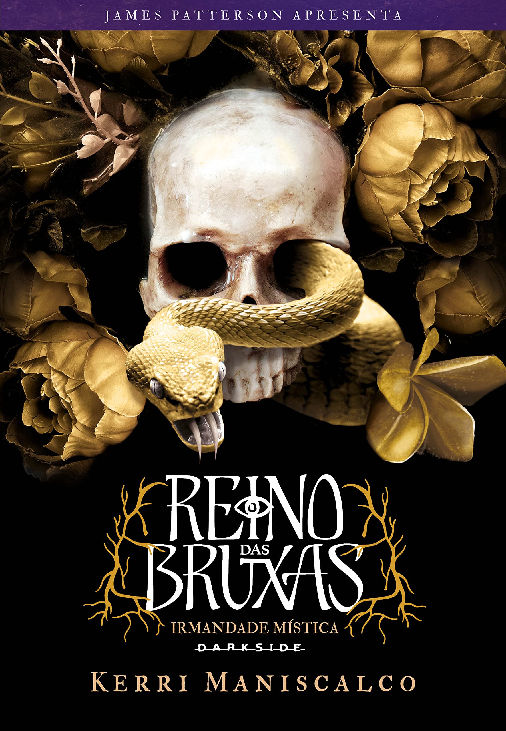 Irmandade Mística (Reino das Bruxas, #1)