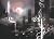 Malevolence (The Rose Warri...