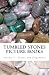 Tumbled Stones Picture Book...