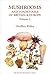 Mushrooms and Toadstools of Britain and Europe: Volume 1: 650 Species Illustrated in Colour