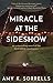 Miracle at the Sideshow: An Astounding Novel of the First Infant Incubators