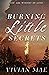 Burning Little Secrets by Vivian Mae