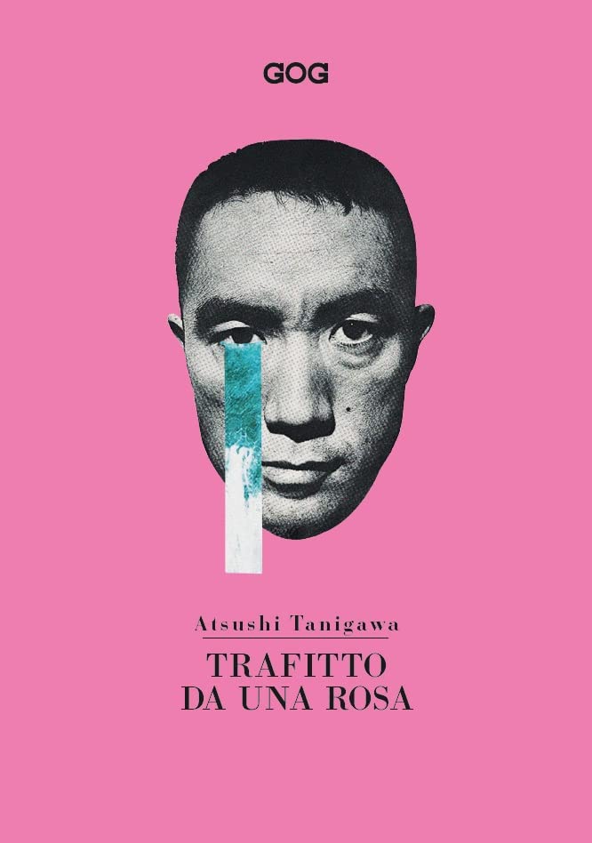 Trafitto da una rosa (Paperback)