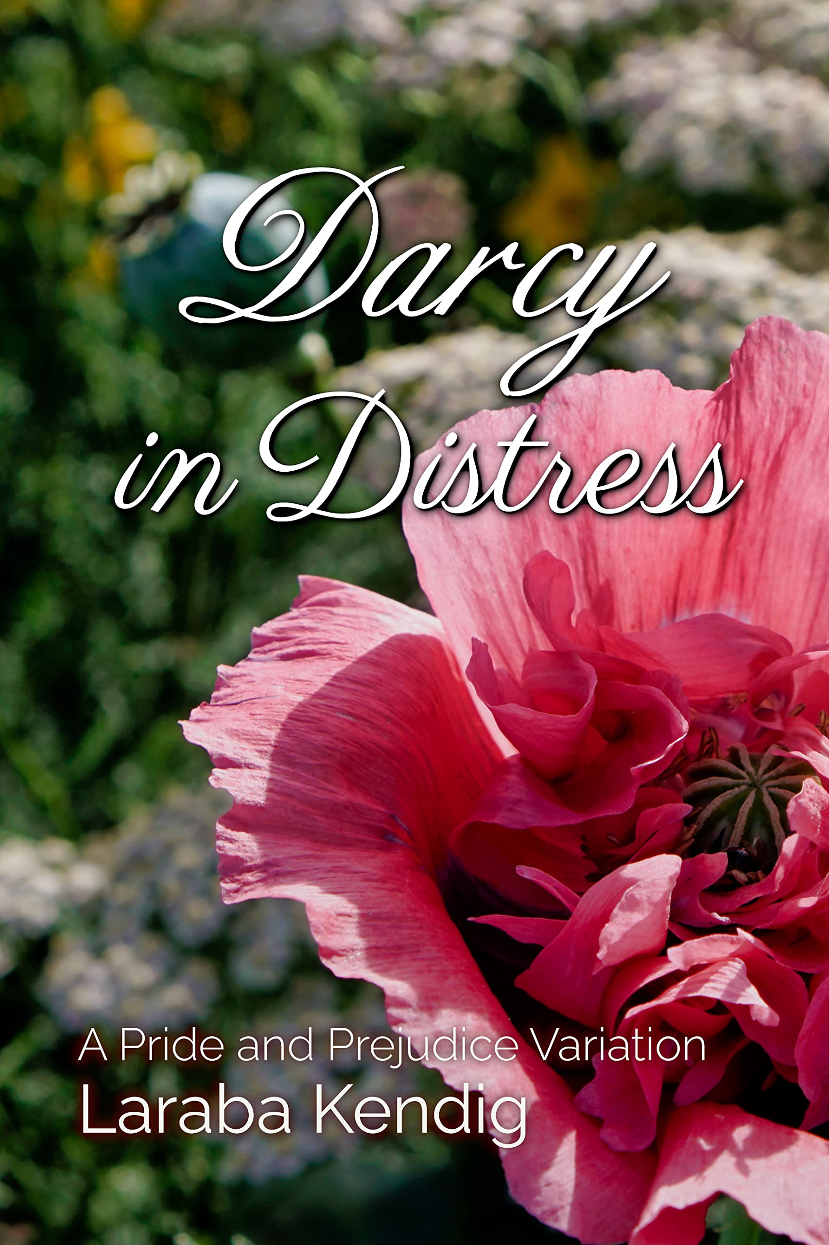 Darcy in Distress: A Pride and Prejudice Variation (Kindle Edition)