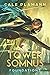 Foundations (Tower of Somnus #1)