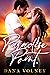 Paradise Point: An Enemies to Lover's Romantic Mystery