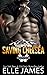 Saving Chelsea (Brotherhood Protectors: Yellowstone #2)