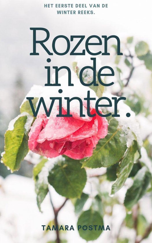 Rozen in de winter (winter 01)