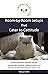 Room-By-Room Setups That Cater to Cattitude: Create Apartment-Friendly Setups, Organize the Home for Safety and Fun, and Improve People Watching for Indoor Cats