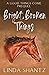 Bright, Broken Things (Good Things Come #0)
