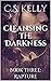 Cleansing The Darkness: Boo...